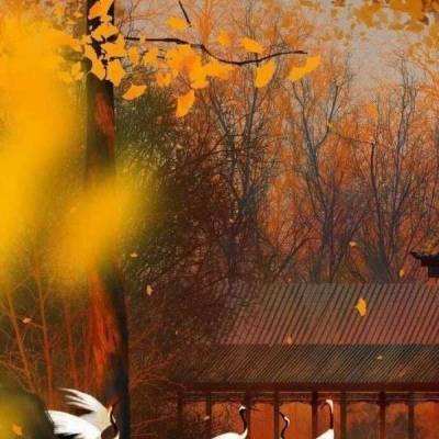 银河突击挑战手游(暂未上线)v1.0.2 安卓最新版